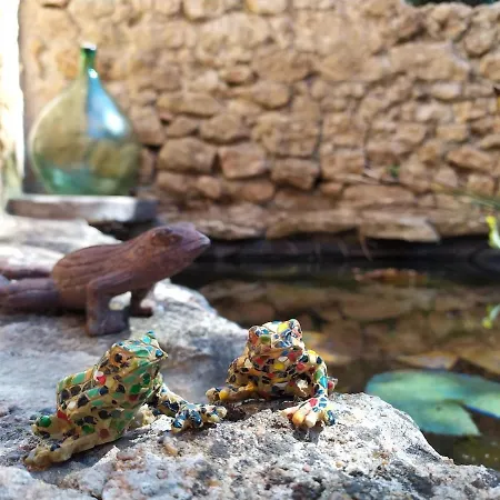 La Maison Girafe, Maison Piscine Ferienhaus Carsac-Aillac